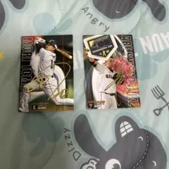 2019年 サイン入りプロ野球カードセット