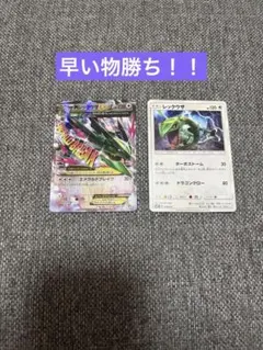 早い物勝ち！MレックウザEXプロモなどまとめ売りのサムネイル