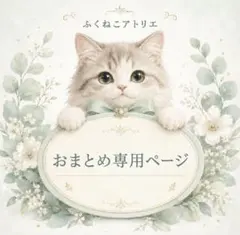 ヒロシ様 リクエスト 2点 まとめ商品 - メルカリ