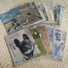 いぬのきもち 雑誌 16冊セット まとめ売りのサムネイル
