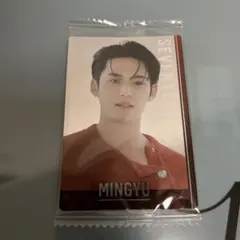 seventeen ミンギュ　ウエハース