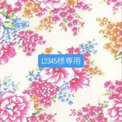 12345様 リクエスト 2点 まとめ商品