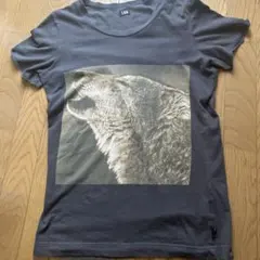 2026年最新】lgb tシャツの人気アイテム - メルカリ