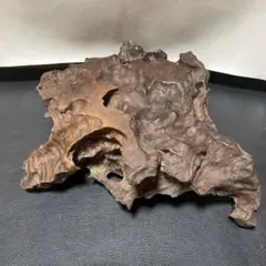 流木　オブジェ　木　置物