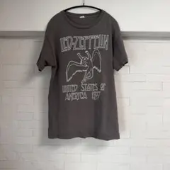 LED ZEPPELIN ゼファー HanesTシャツ　Mサイズ LED ZEPPELIN ゼファー HanesTシャツ Mサイズ - メルカリ