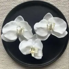 胡蝶蘭 髪飾り ヘッドドレス 白 ホワイト 前撮り 和装 成人式 結婚式