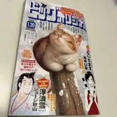 ビッグオリジナル 2026年1、20月号