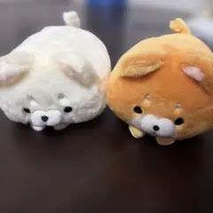 ころころしばわん　2種類　犬　ぬいぐるみ マスコット