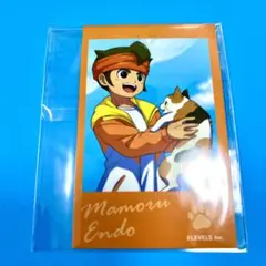 イナズマイレブン イナイレ まねきねこ フォトカード フォトカ 円堂守