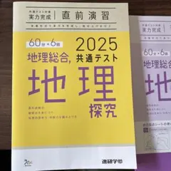2025 地理総合 地理探究 共通テスト対策 実力完成 直前演習のサムネイル