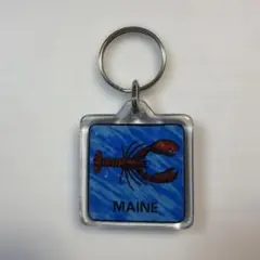 ロブスター MAINE アクリルキーホルダー　伊勢エビ　オマール