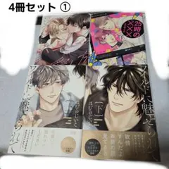 BL ボーイズラブ 漫画 4冊セット まとめ売り - メルカリ