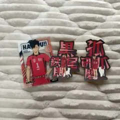 黒尾鉄朗　孤爪研磨 カード&シール