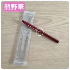 【新品未使用】熊野筆 リップブラシ 紅筆 化粧筆 訳ありのサムネイル