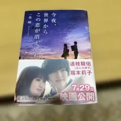 今夜、世界からこの恋が消えても