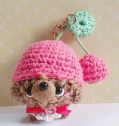 ✿えりにゃん様専用ページです✿ミニキーホルダーさくらんぼ着ぐるみ　トイプーレッド