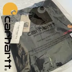 【新品未使用】Carhartt カーハート ロゴ刺繍 Tシャツ　男女兼用　大人気