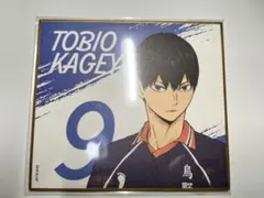 ハイキュー 10周年記念展 ミニ色紙 影山飛雄