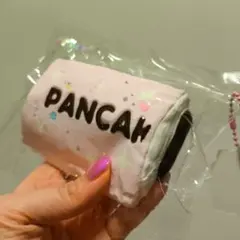 新品 Big パンケーキ チョコ入り スクイーズ