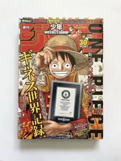 激レア】週刊少年ジャンプ ワンピース ギネス世界記録認定号 2015年 30