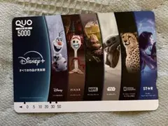 Disney+　オリジナルデザイン　QUOカード　使用済み