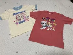 新品未使用 パウパトロール Tシャツ 2枚セット 100cm スカイ エベレスト