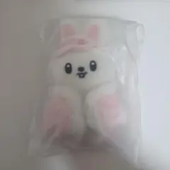 straykids リービット Leebit ペンミ ぬい 10cm SKZOO