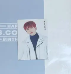 SEVENTEEN HARE ウォヌ トレカ