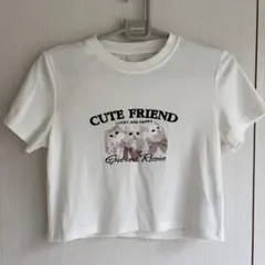 SHEIN Dazy 猫 Tシャツ ホワイト XL