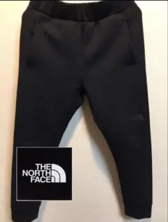 THE NORTH FACE TECHAIR SWEAT JOGGERPANTS