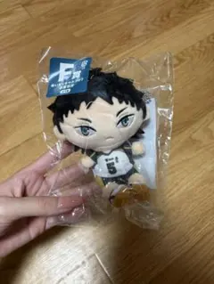 ぬいもっちマスコット 赤葦京治 이치방쿠지 신품