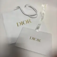 DIOR 袋