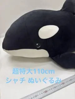 名古屋港水族館 限定 シャチ 巨大 ぬいぐるみ くじ 特賞 2等 セット