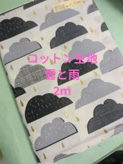 雲と雨のデザイン 綿生地 2m 黒　グレー　ゴールド
