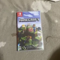 Minecraft Nintendo Switch版