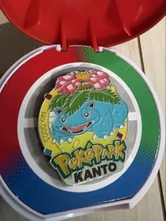 ポケパーク カントー リザードン ピンバッジ - メルカリ