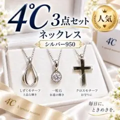 Garden of eden × Iroquois コラボシルバーネックレス - メルカリ