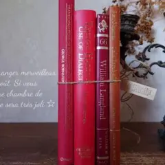 B415 ヴィンテージ 洋書 お洒落な組み合わセット ディスプレイ インテリア