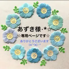 あずき様⋆*✩専用ページです(*ᴗ͈ˬᴗ͈)ꕤ*.゜