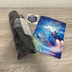 スペースマウンテン　記念品　傘 東京ディズニーランド スペース・マウンテン 最終日搭乗
