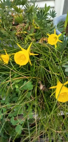 Koma様 リクエスト 2点 まとめ商品