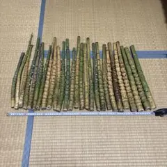 ウチダ バット用 天然木 木製 グリップ 野球 バット 未使用 6点セット