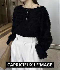 カプリシューレマージュ