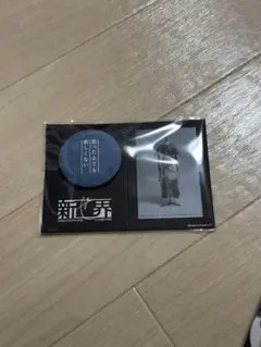 2026年最新】櫻坂46 新せ界の人気アイテム - メルカリ
