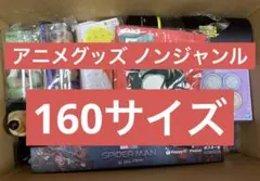 アニメグッズ ノンジャンル 大量まとめ売り 160サイズ
