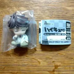 ハイキュー!!　肩ズンFig.　及川徹