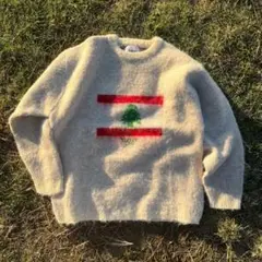 younger song flag logo knit