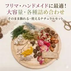 【箱いっぱいの贈り物】木の実とドライフラワーの花材セットA−2