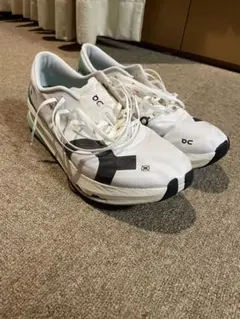 Item thumbnail for item 828080de-2e4b-426d-b2dd-0045788139a7