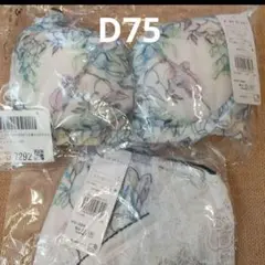 新品　夏ブラ　峰不二子　ワコールアンフィ　グラマリッチブラ ショーツ